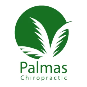 Palmas Chiropractic Bentonville