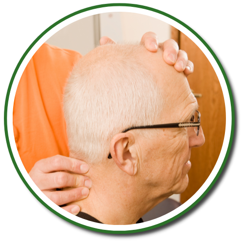 Gonstead Visualization